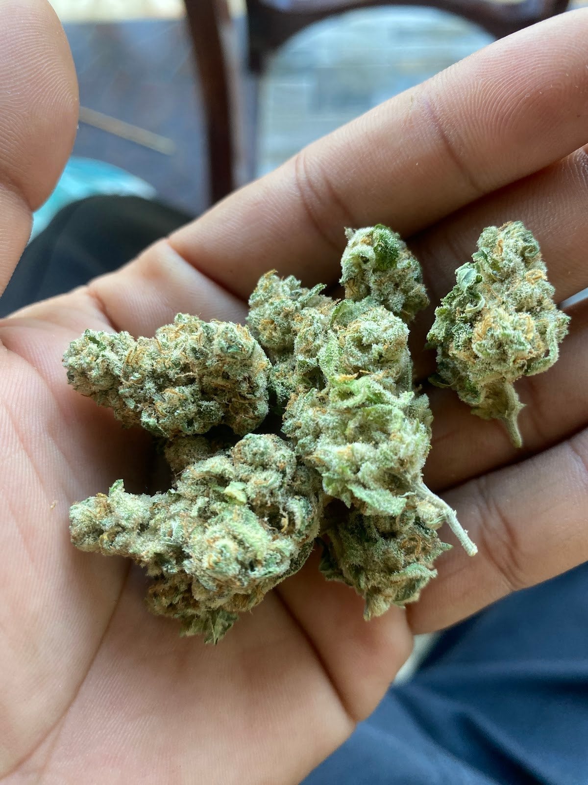Zenleafshop2