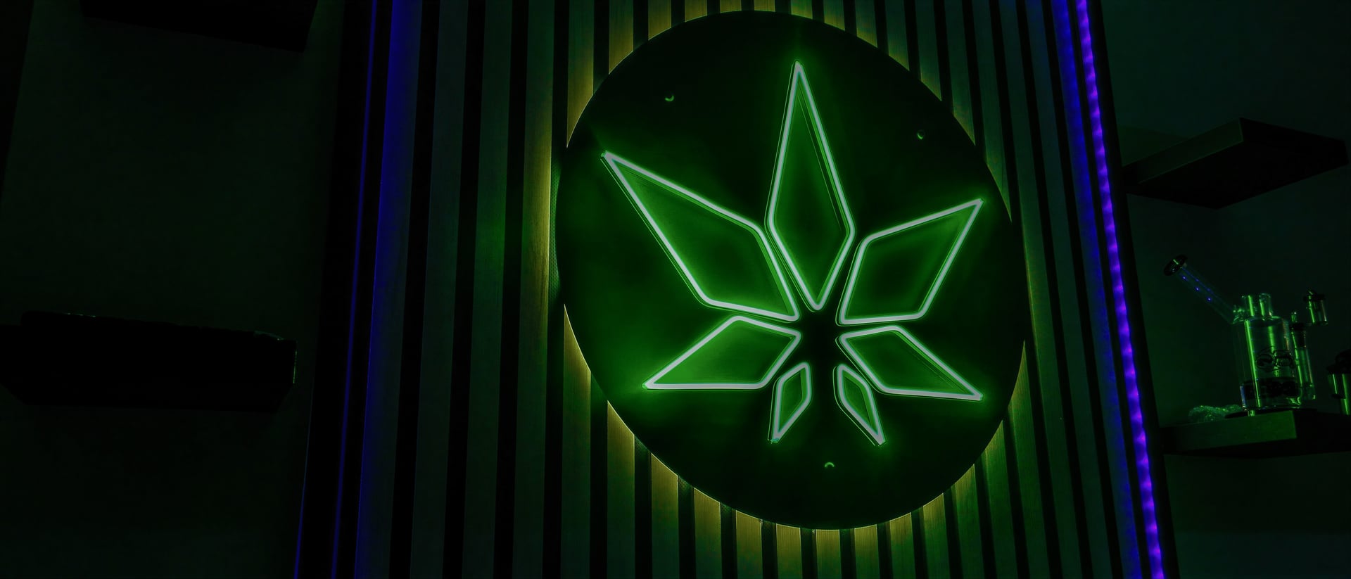 Olympus Pai Club hero