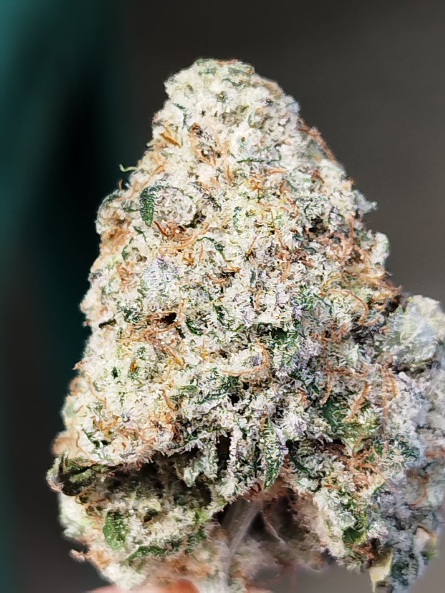DoiSaWEED