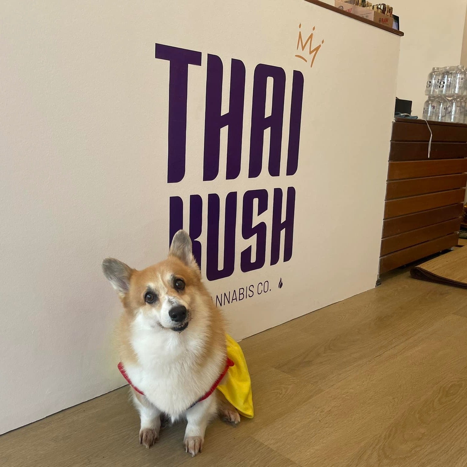 Thai Kush Company