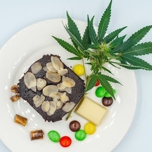 Cannabis Cafe Kata Beach