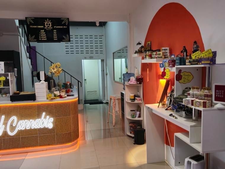 Dank Dynasty Best Cannabis In Bangkok