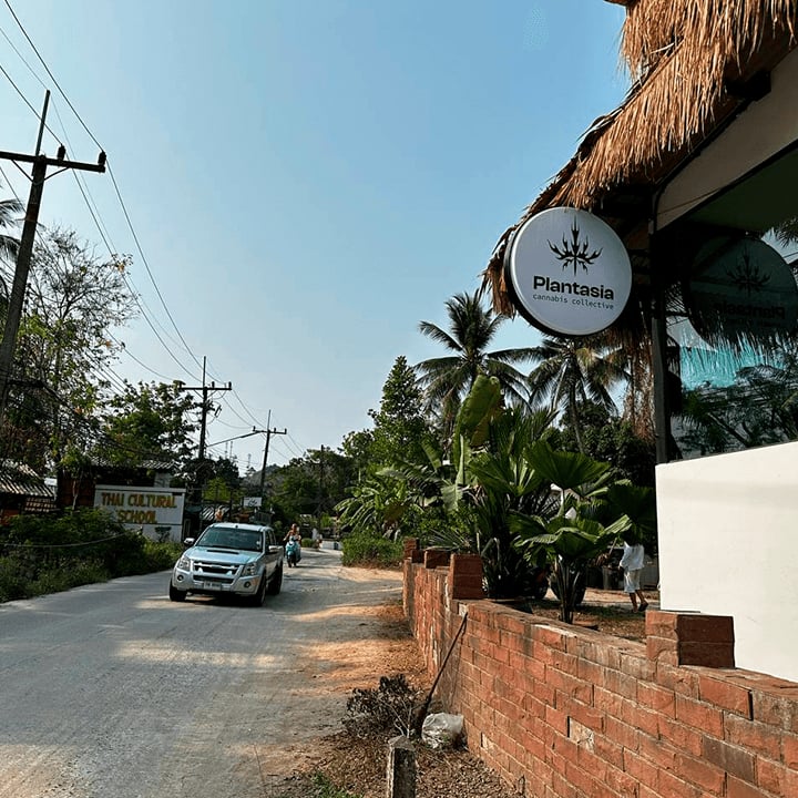 Plantasia Cannabis Weed Shop