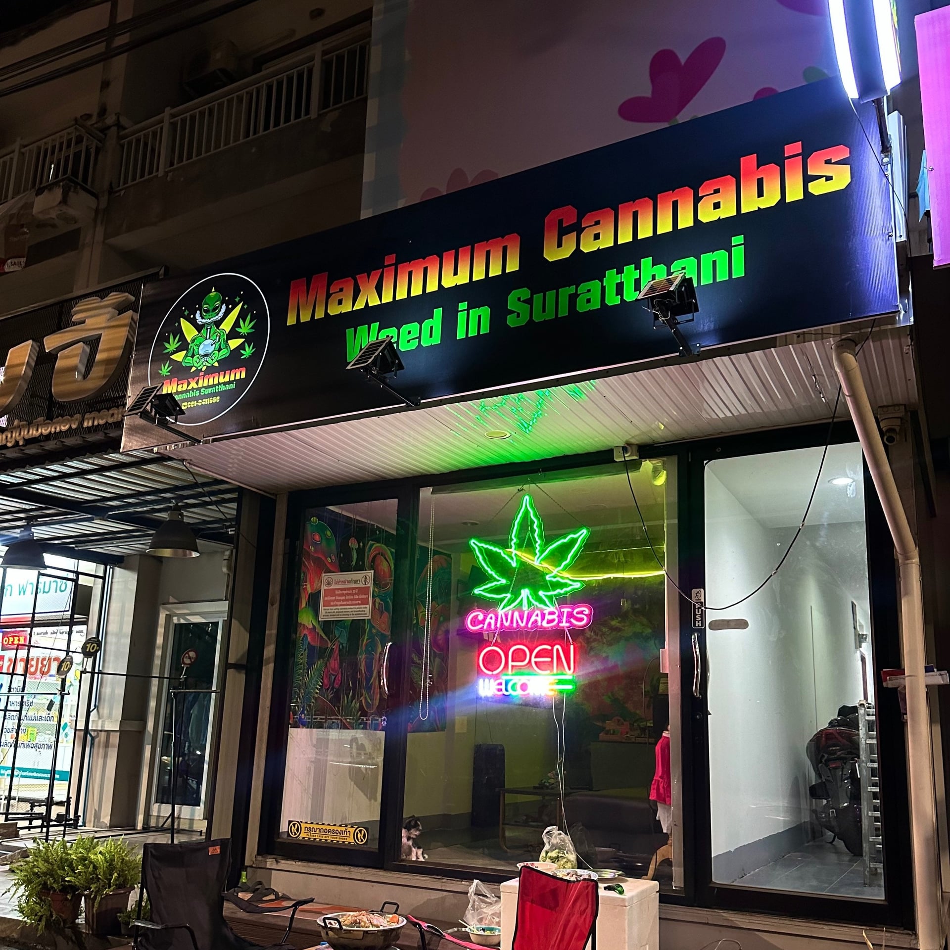 Maximum Cannabis Shop Weed In Suratthani