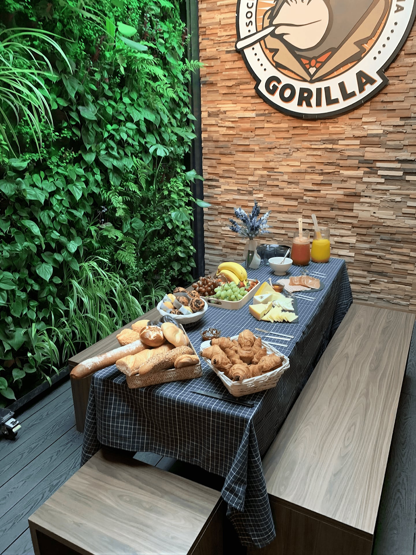 Gorilla