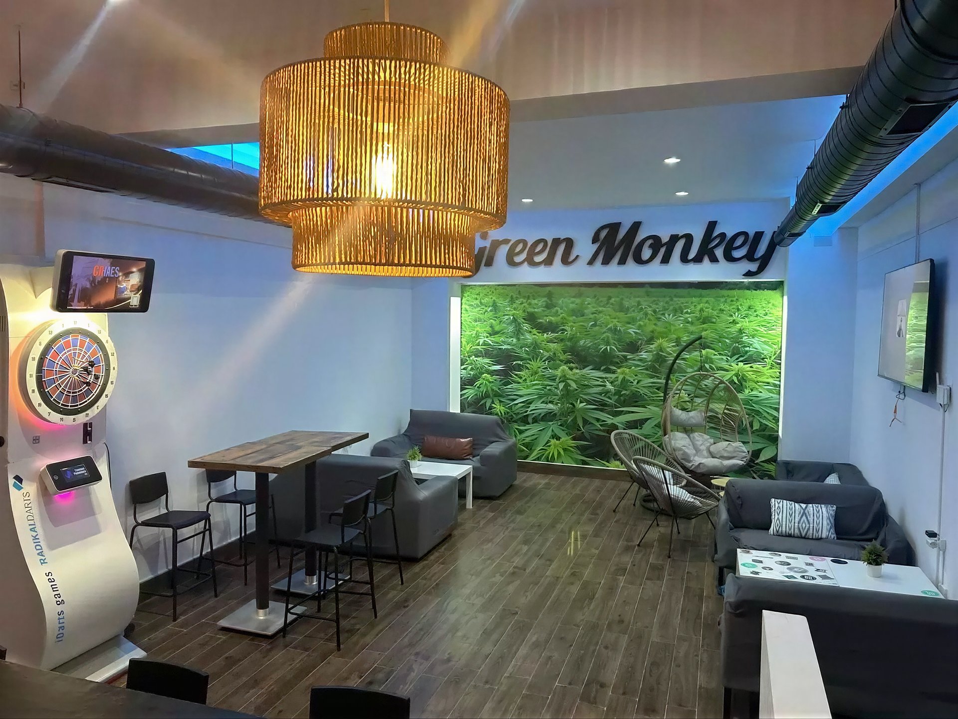 Green Monkey