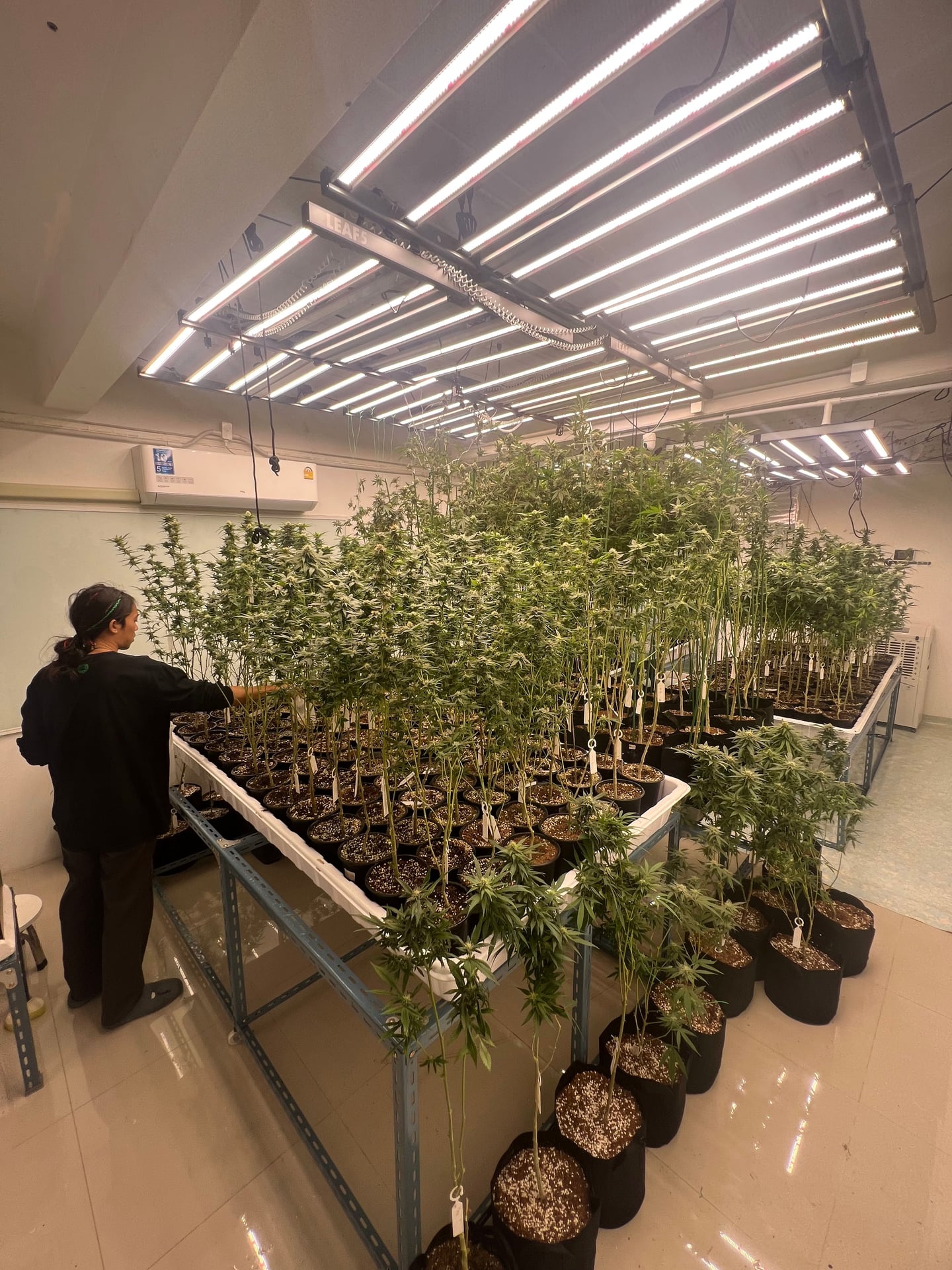 CannaBoomLand