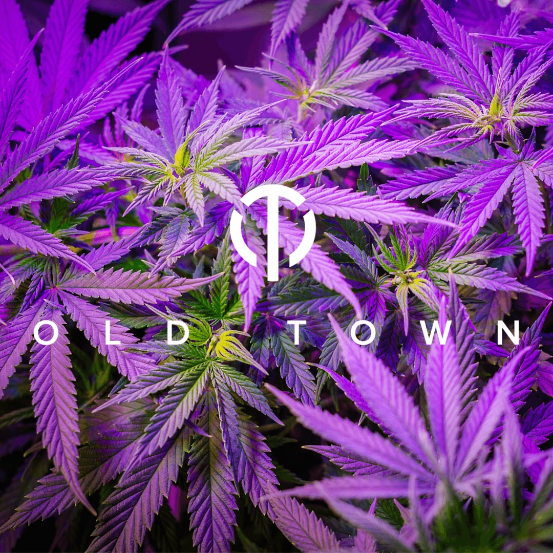 The OT Dispensary - Old Town