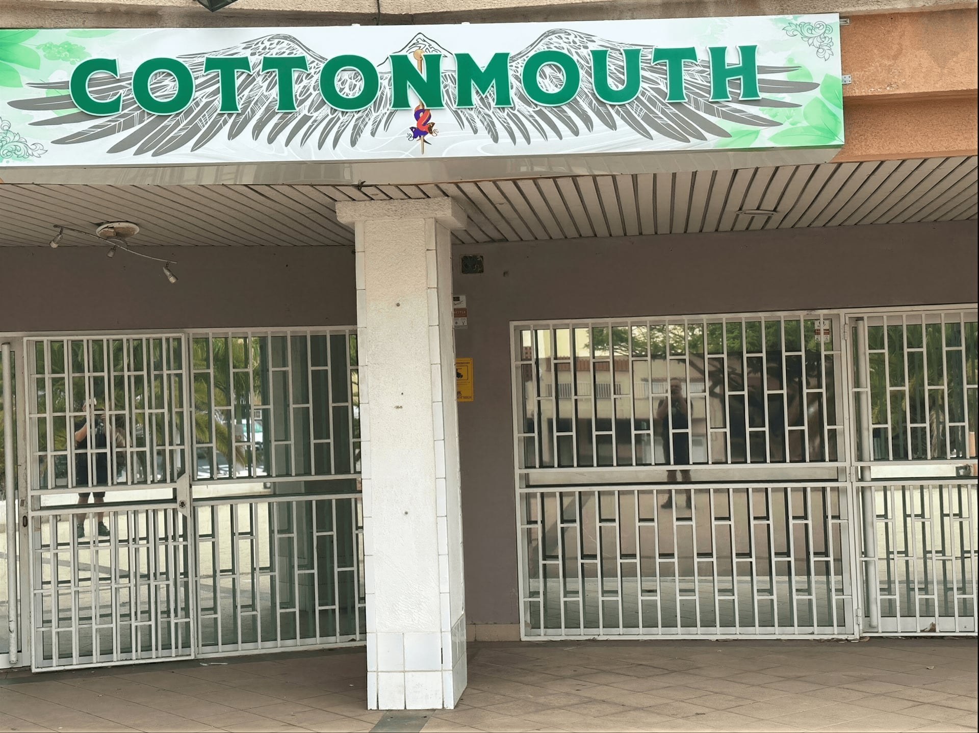 Cottonmouth