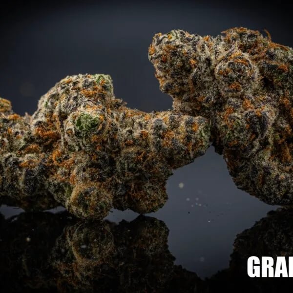 Cannabear