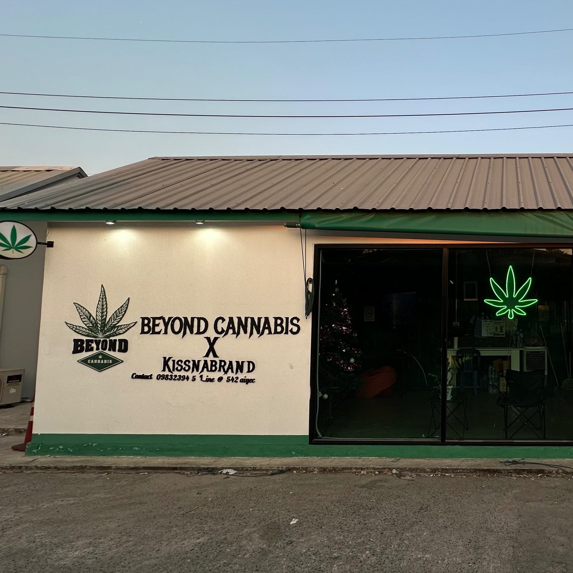 Beyond Cannabis X Kissnabrand