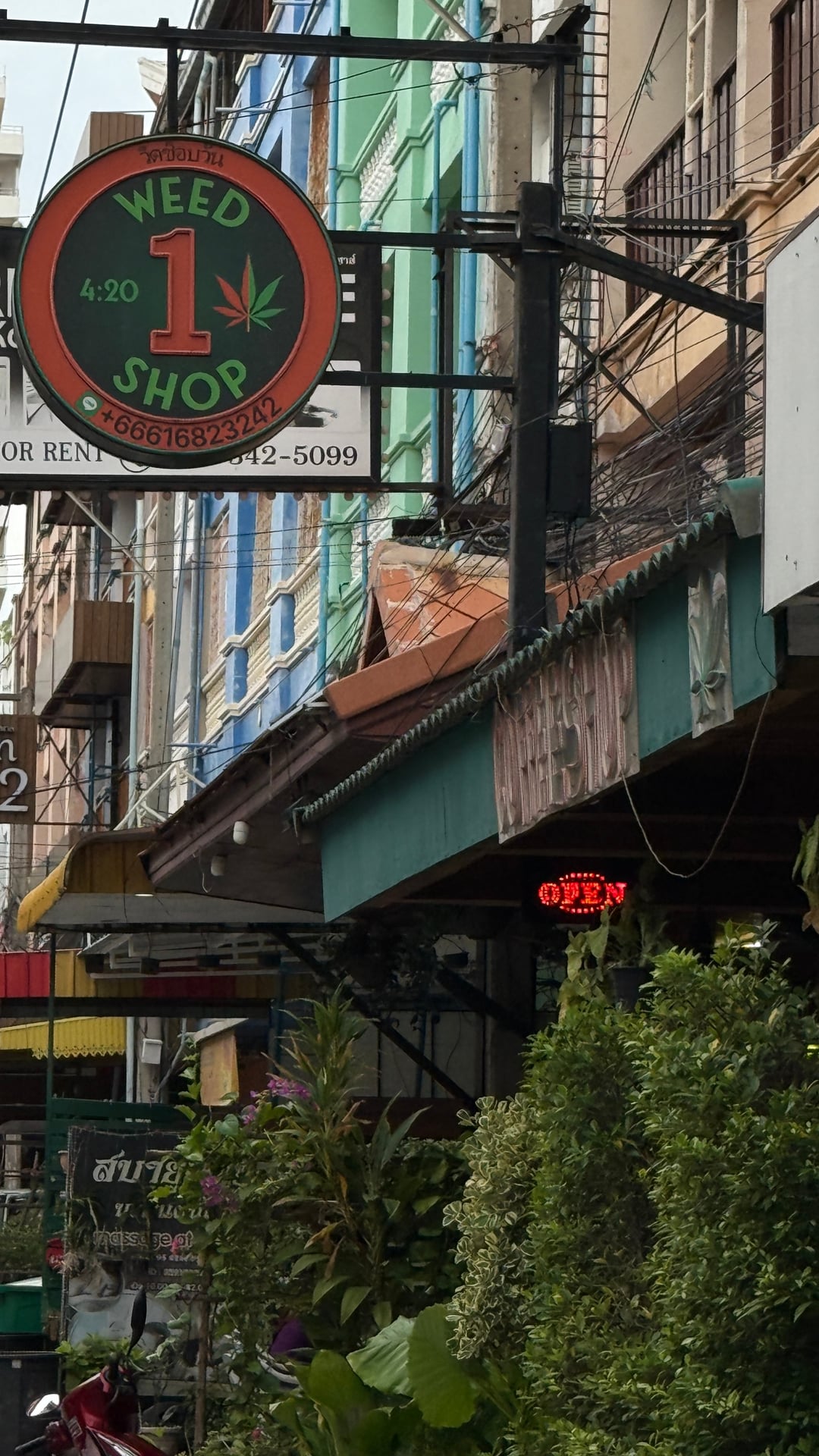 Weed Shop One Jomtien Pattaya