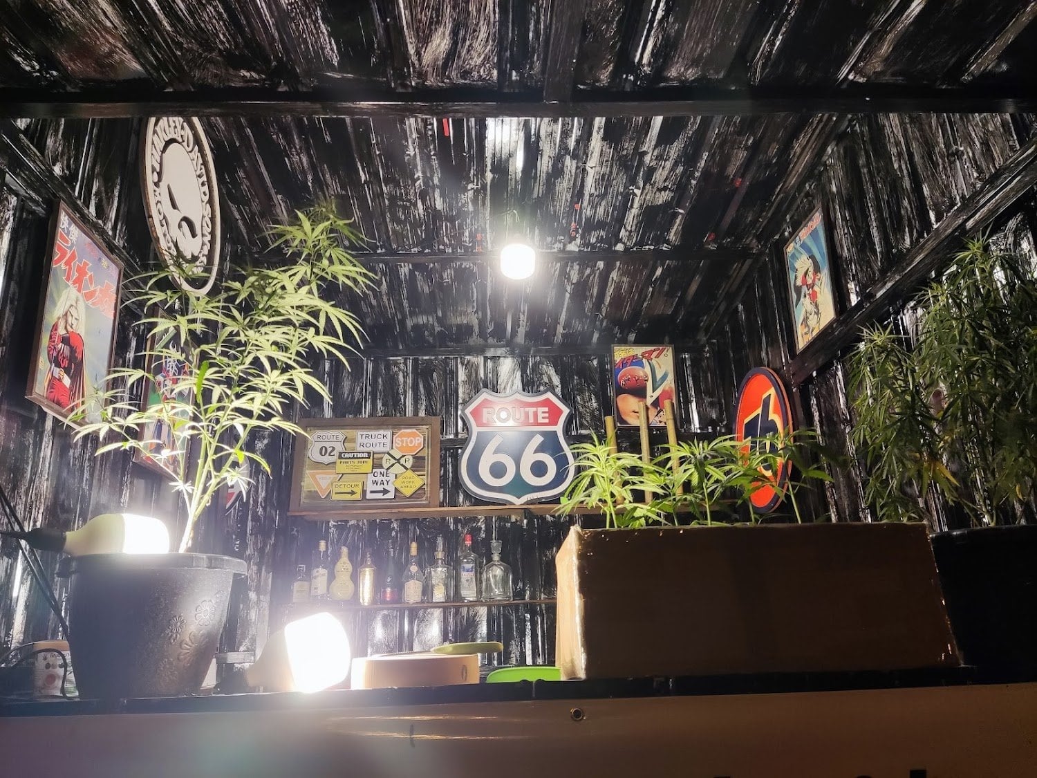 Green Cannabis Cafe )