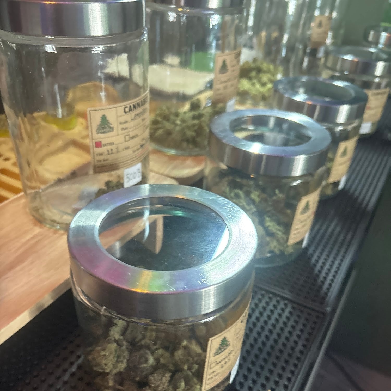 Paradise Cannabis Weed Marijuanas