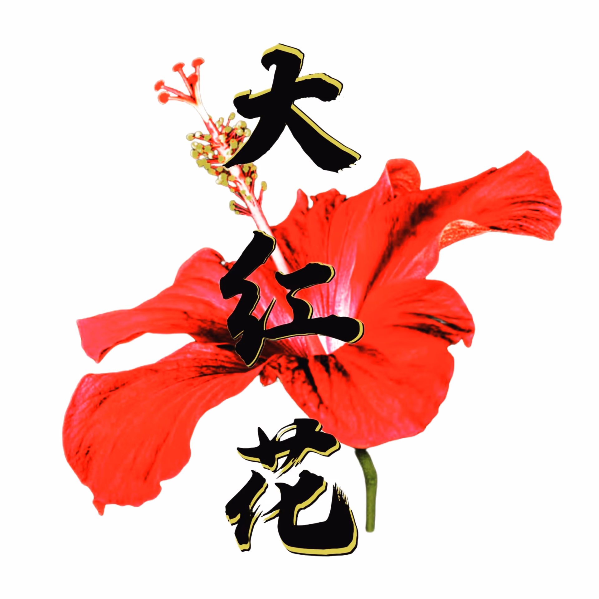 Cannabis Social Club Da Hong Hua v Bangkok logo
