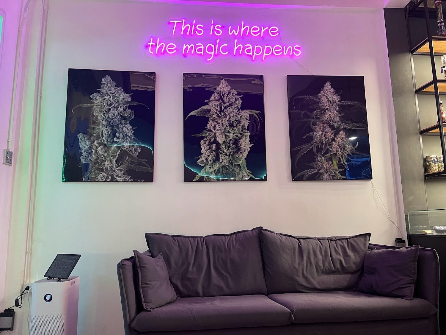 Weed Castle Asiatique - Cannabis