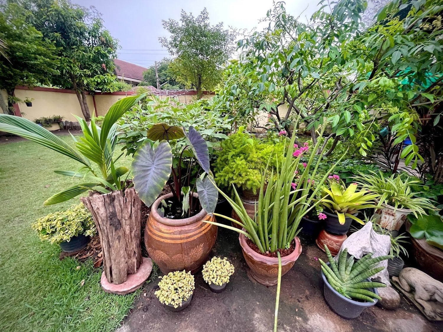 Garden Home