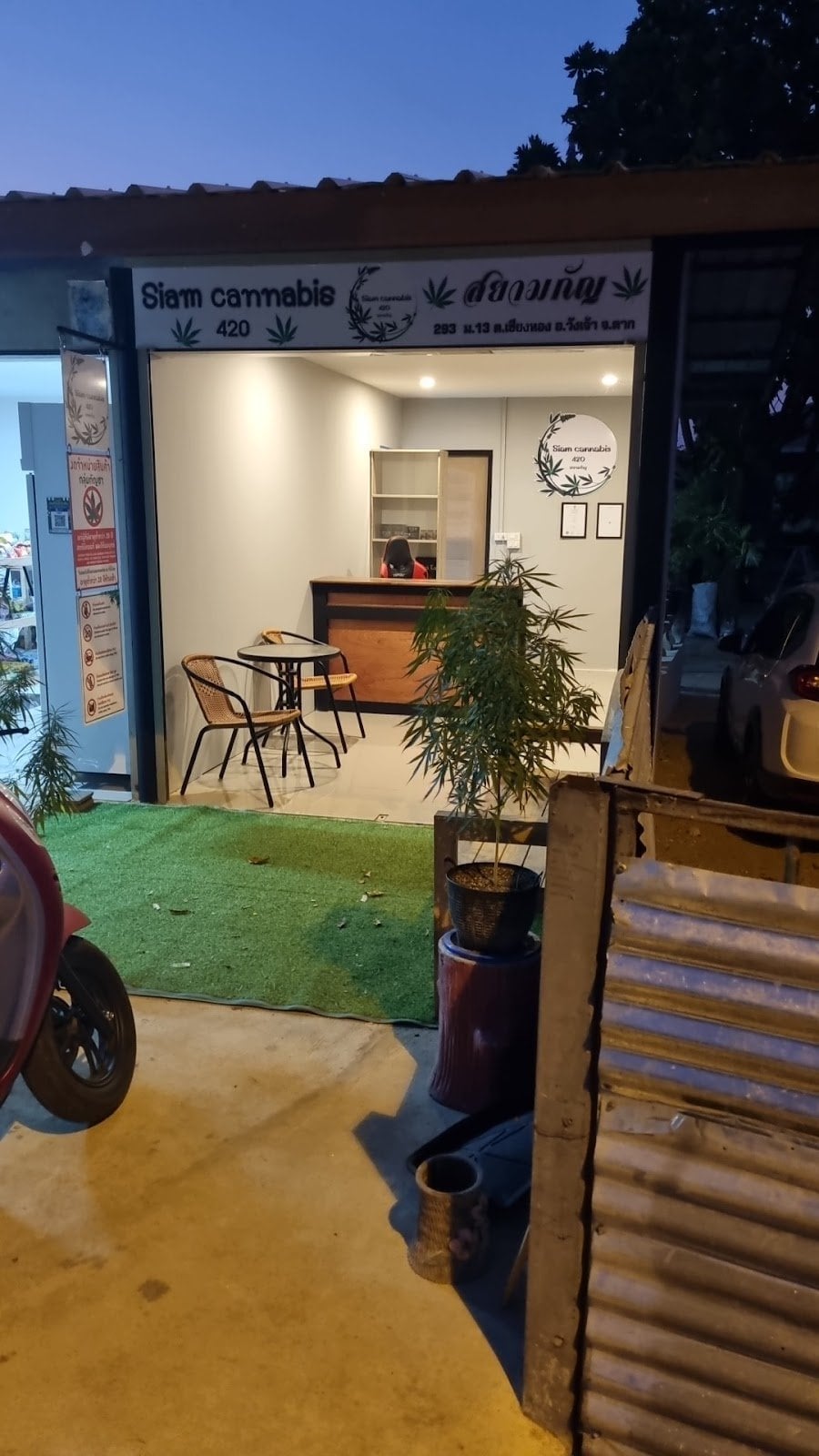 Siam Cannabis