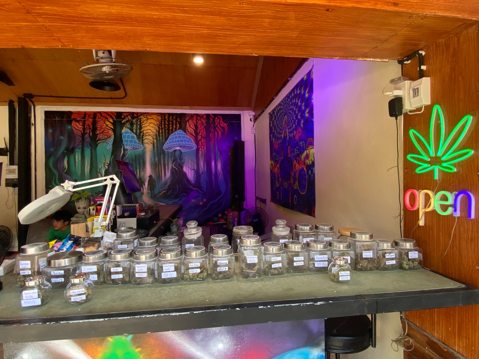 The Syndicate Bud - Railay Beach