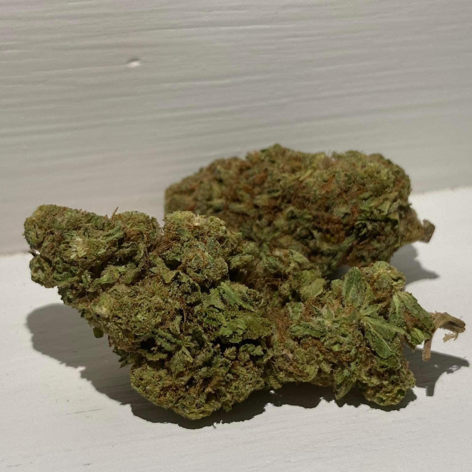 Jack Herer Salok Bat