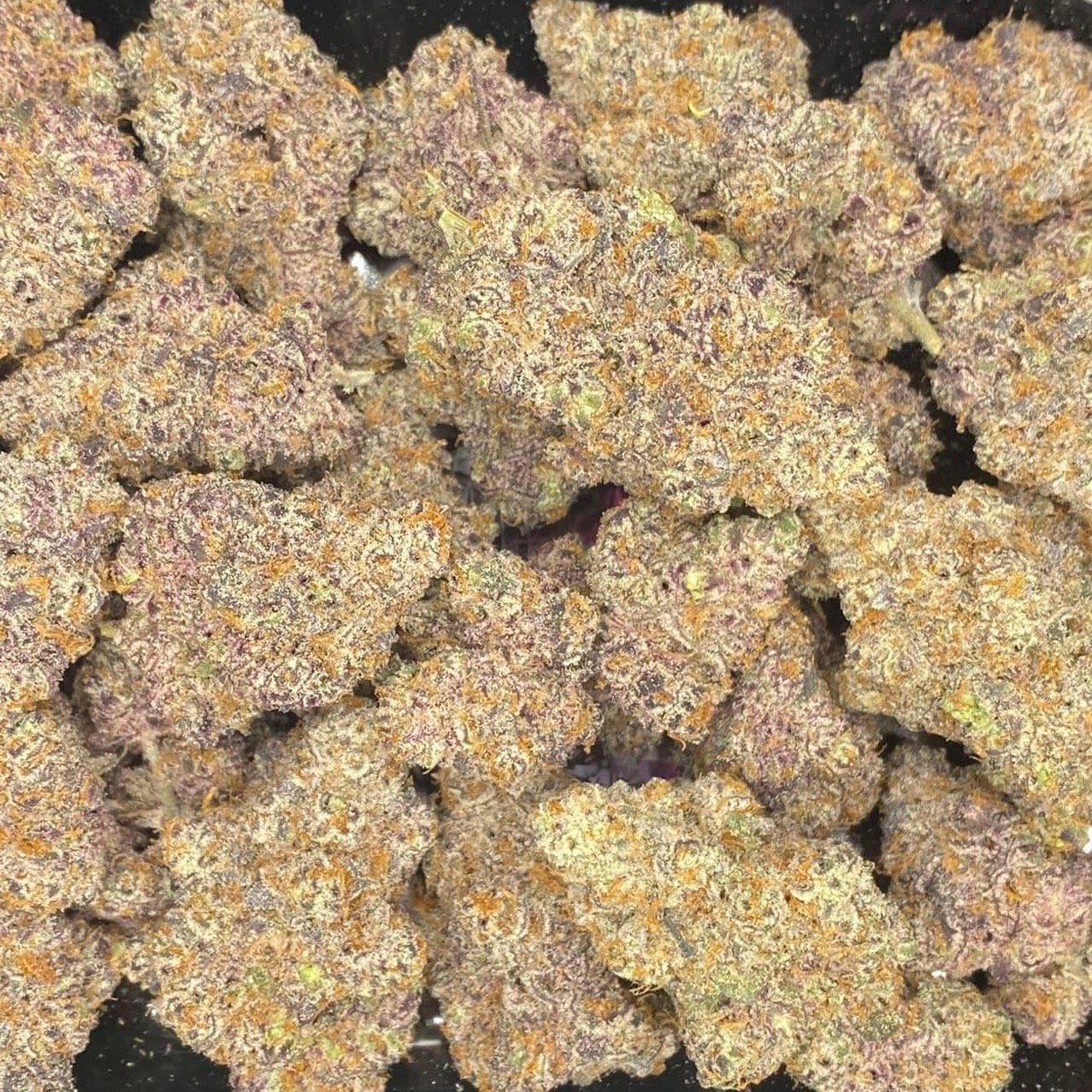 Kush Queen Og-indoor Air