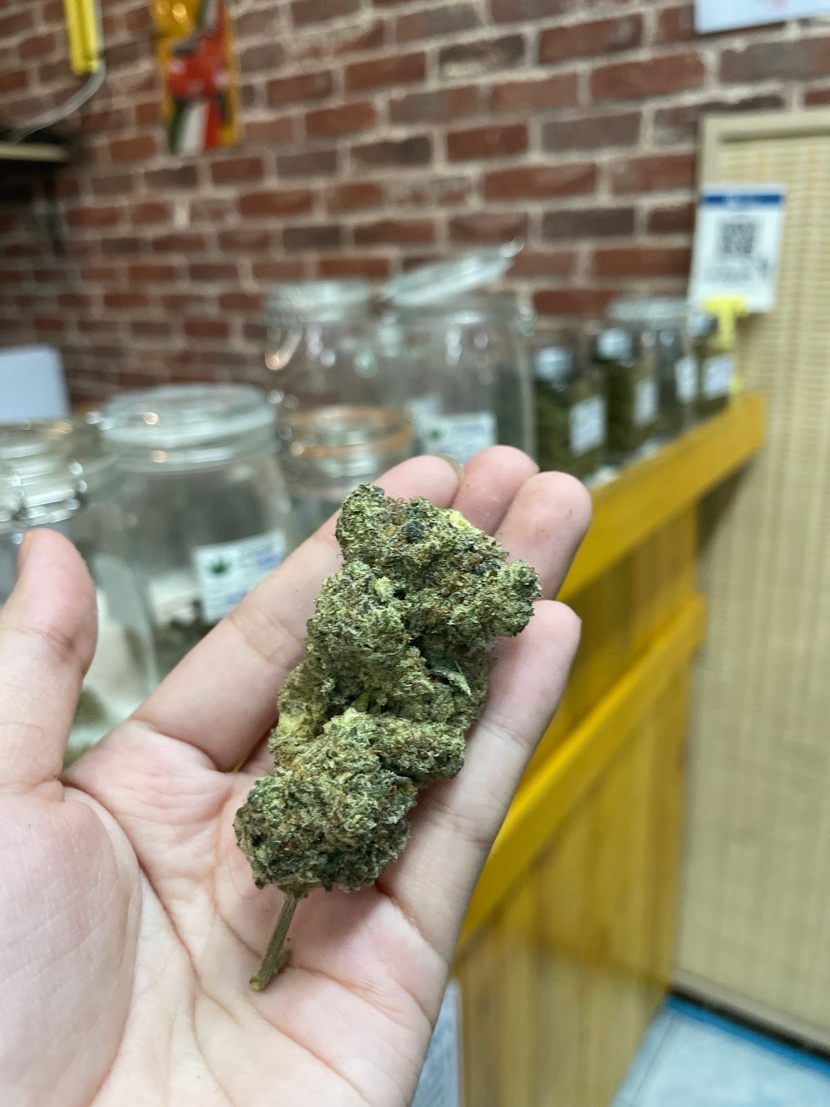 New Cannabis Shop Pattaya
