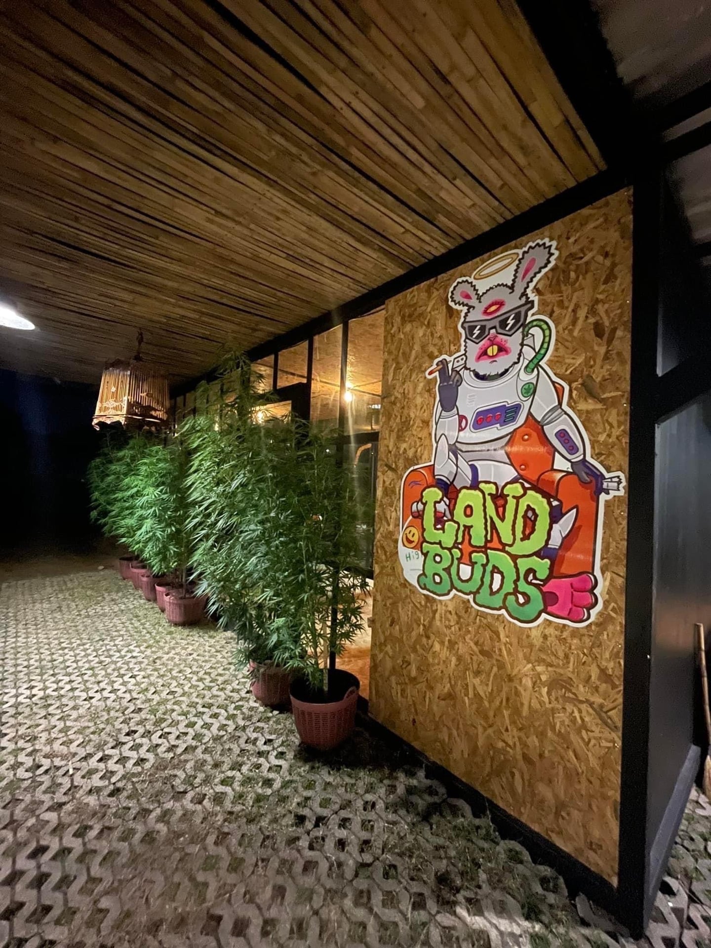 LandBuds