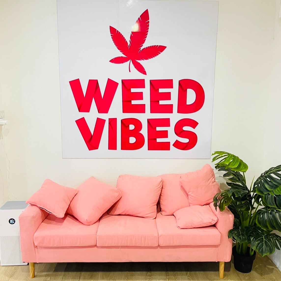 Weed Vibes Cannabis