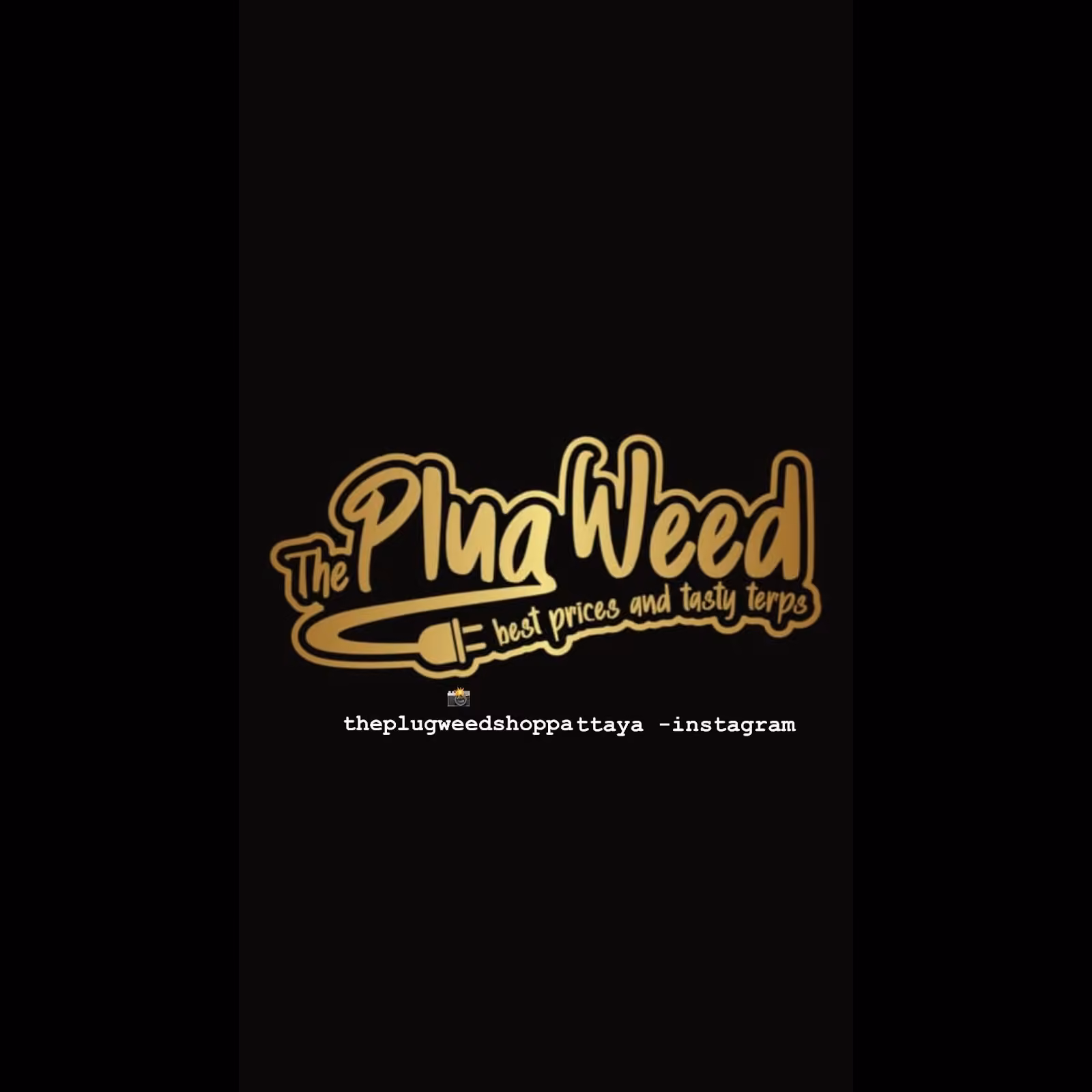 نادي القنب الاجتماعي The Plug Weed في Pattaya شعار