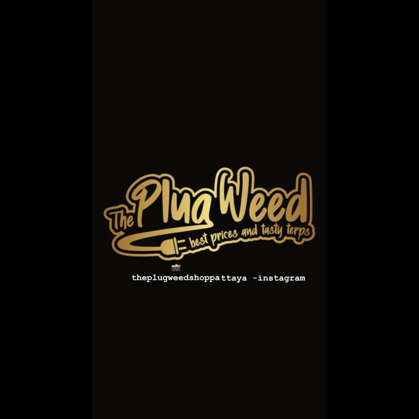The Plug Weed logo