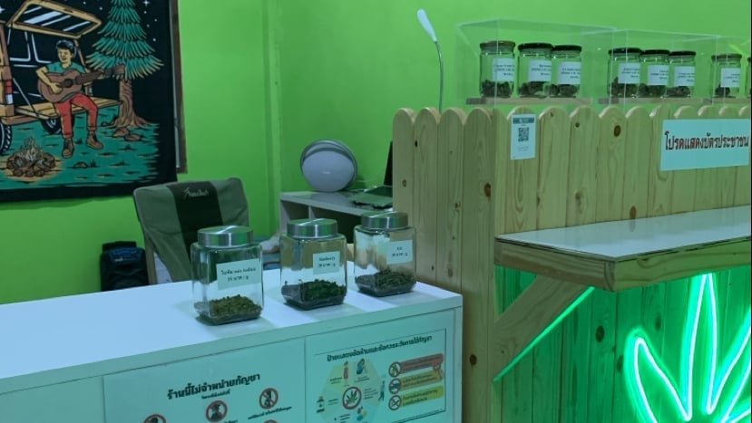 Mix Cannabis