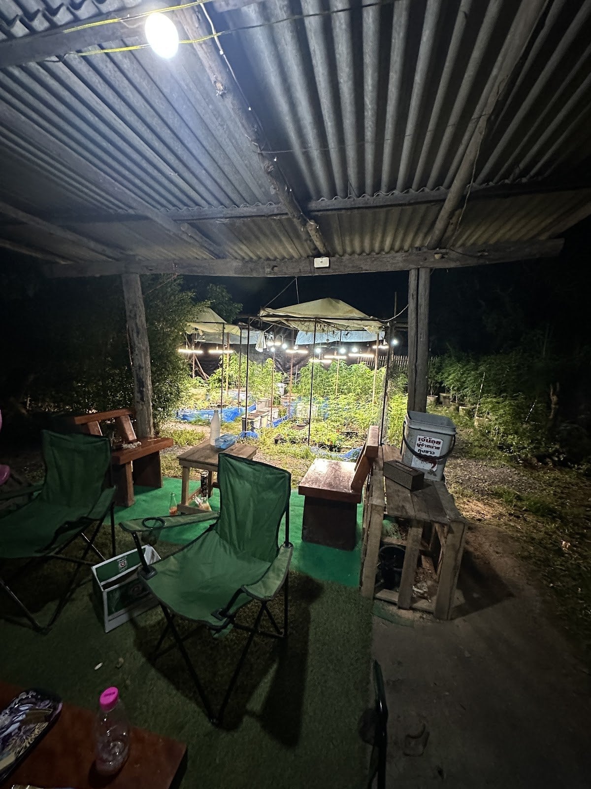 Bangrak Farm