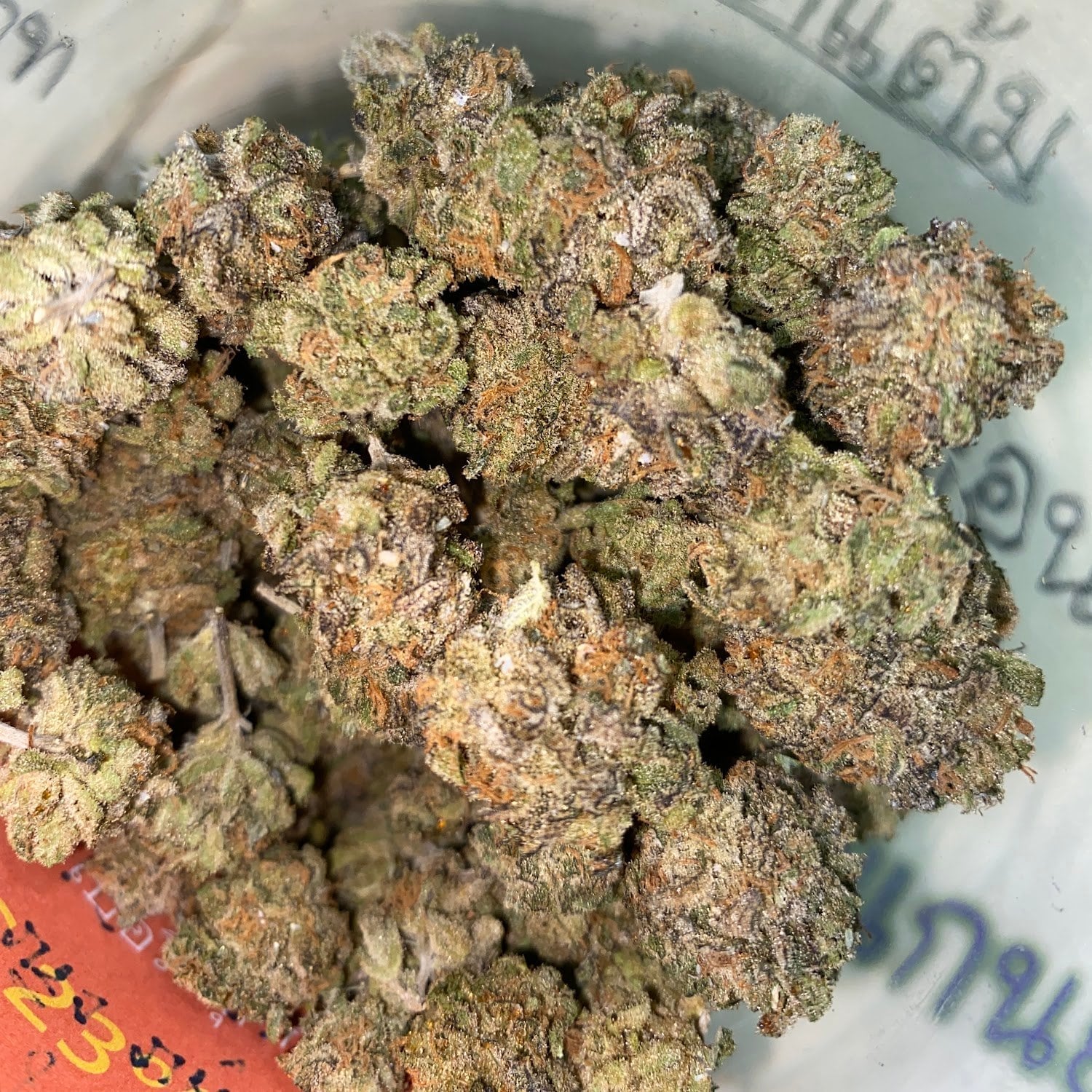Champ Cannabis