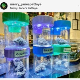 Merry Jane's Pattaya
