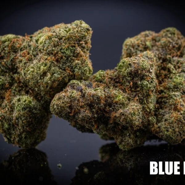 Cannabear
