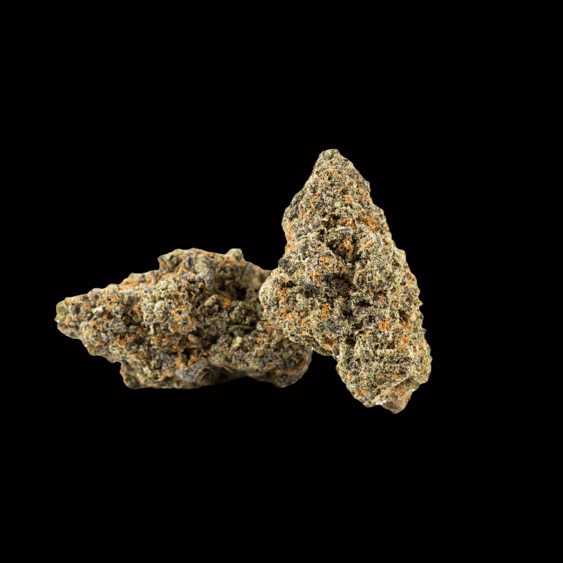 대마 소셜 클럽 Canaza Weed Shop - Bangkok Rama 9 - Dispensary Cannabis 로고