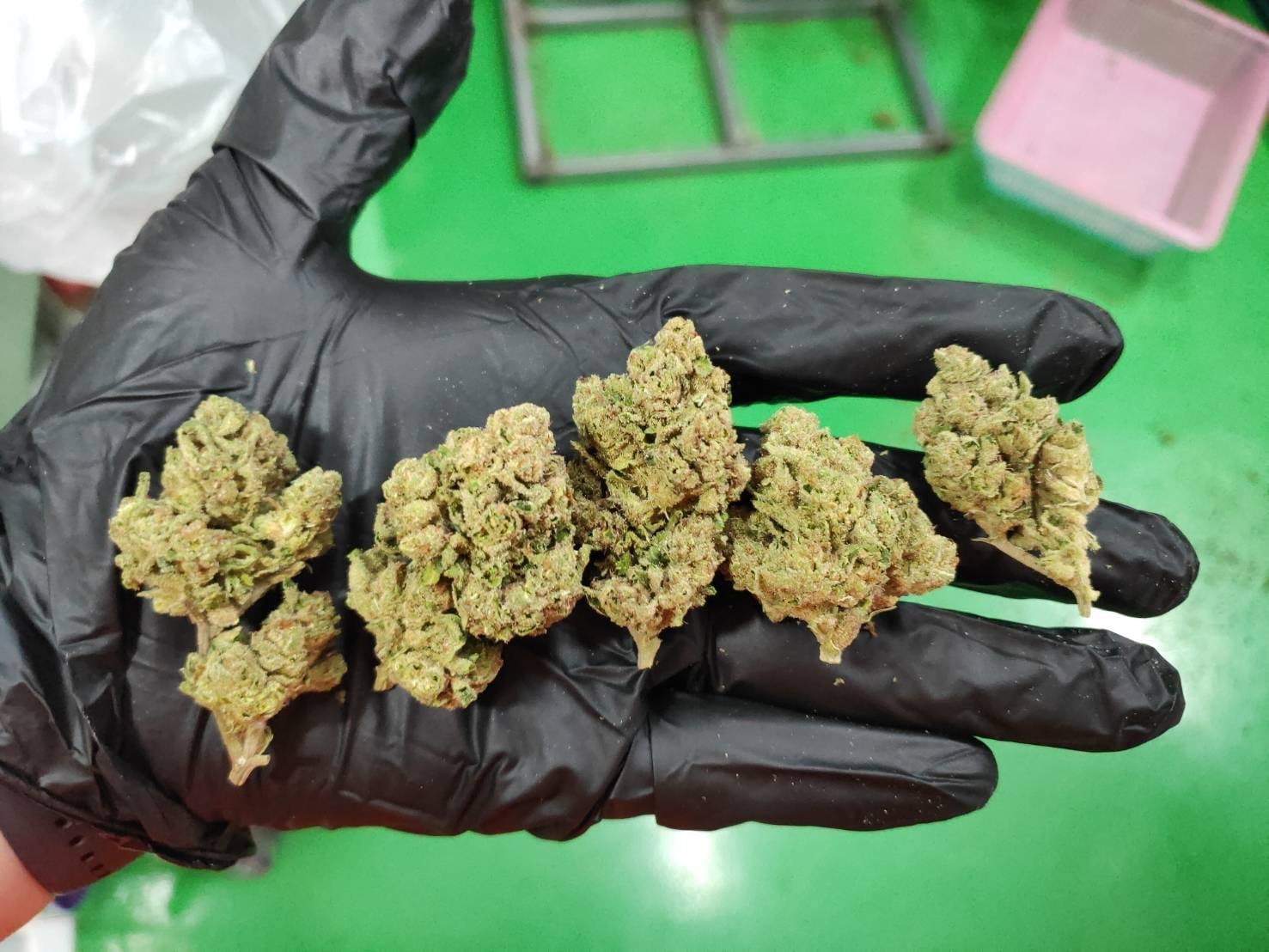 Organic Weed Farm