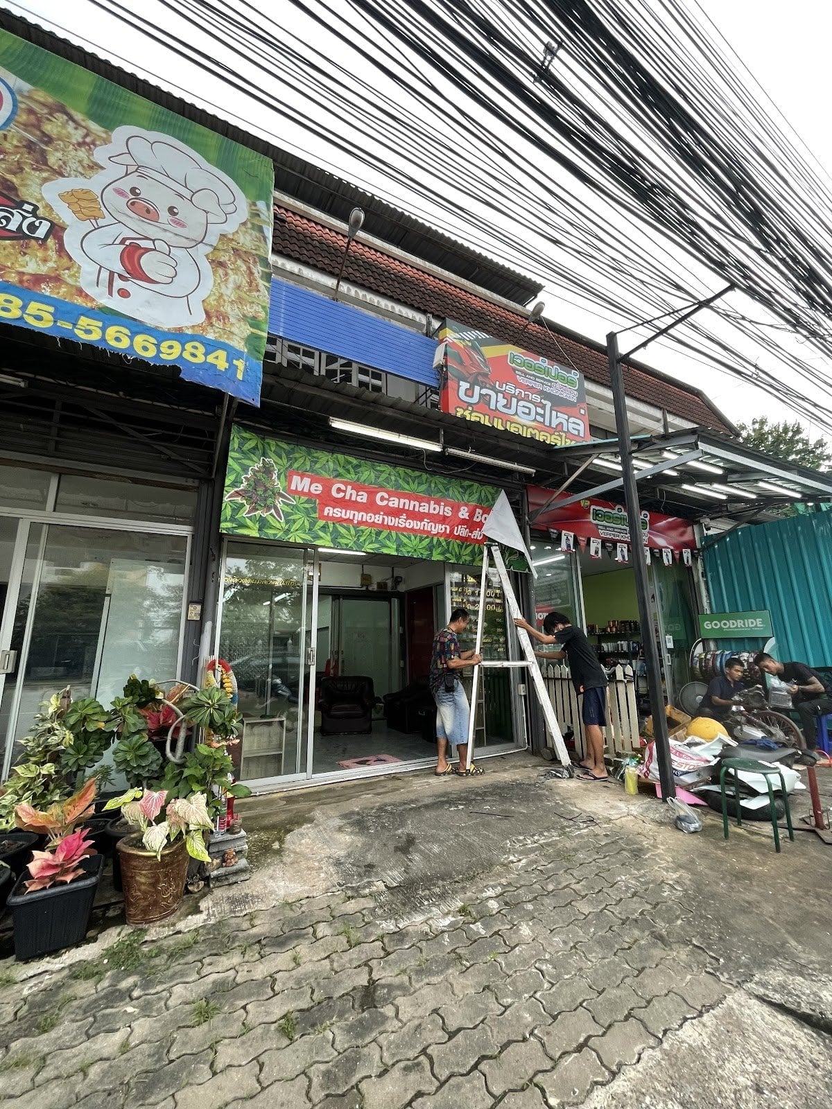 Mee Cha Cannabis