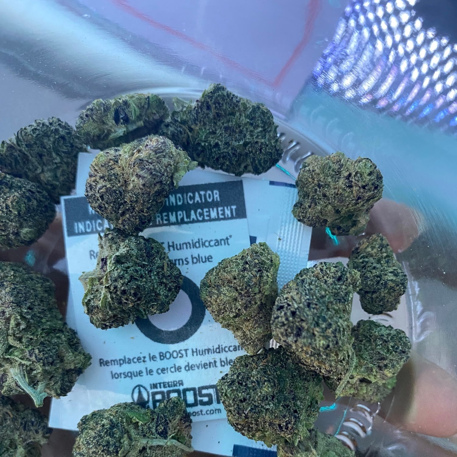 The Volcano Buds