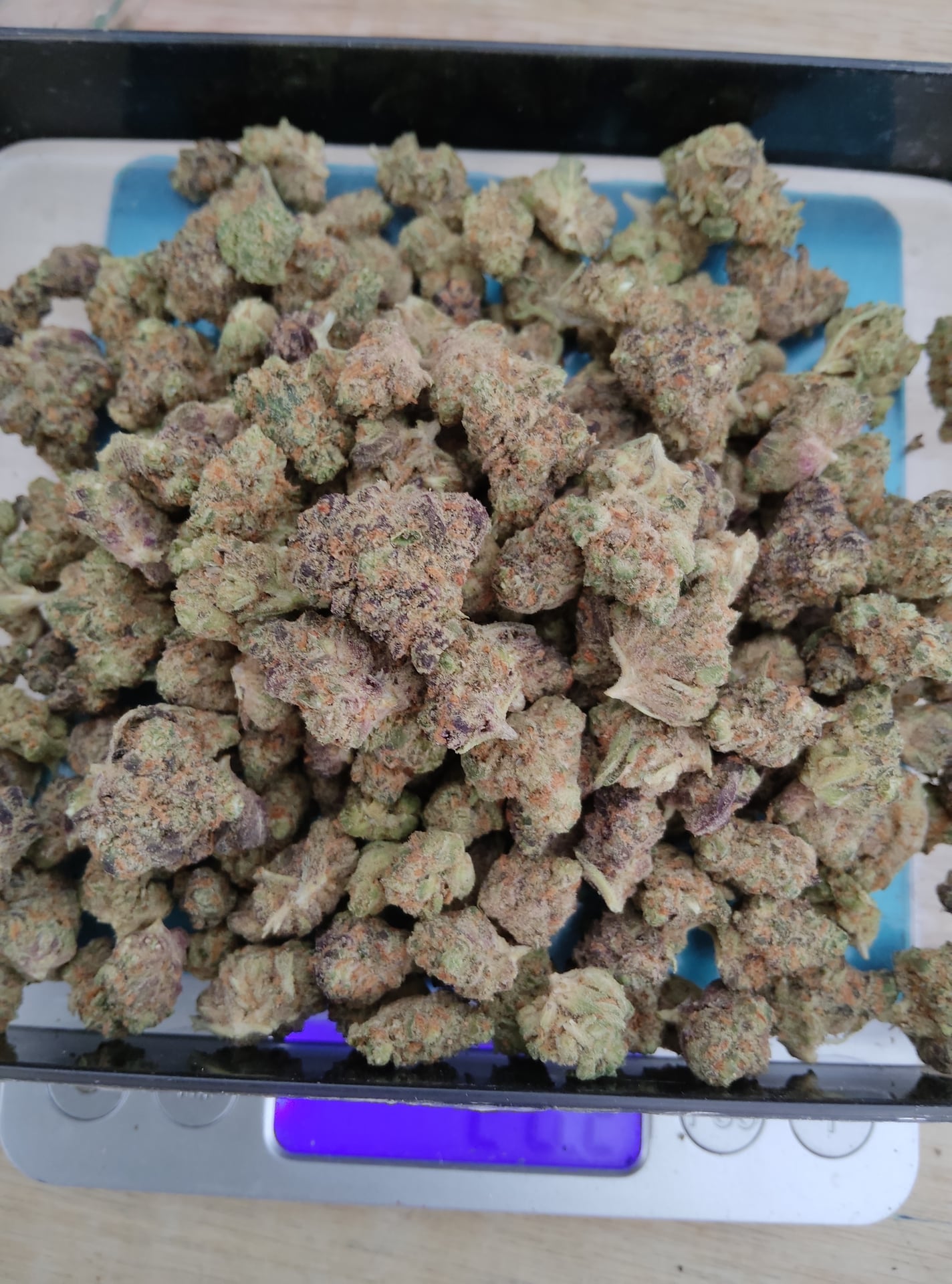 Dan Cannabis
