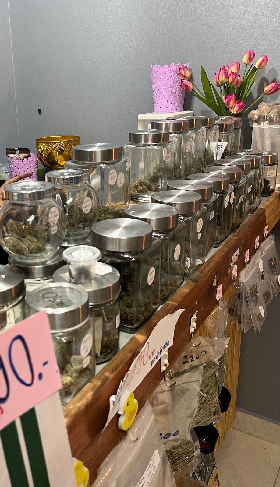 World Of Cannabis
