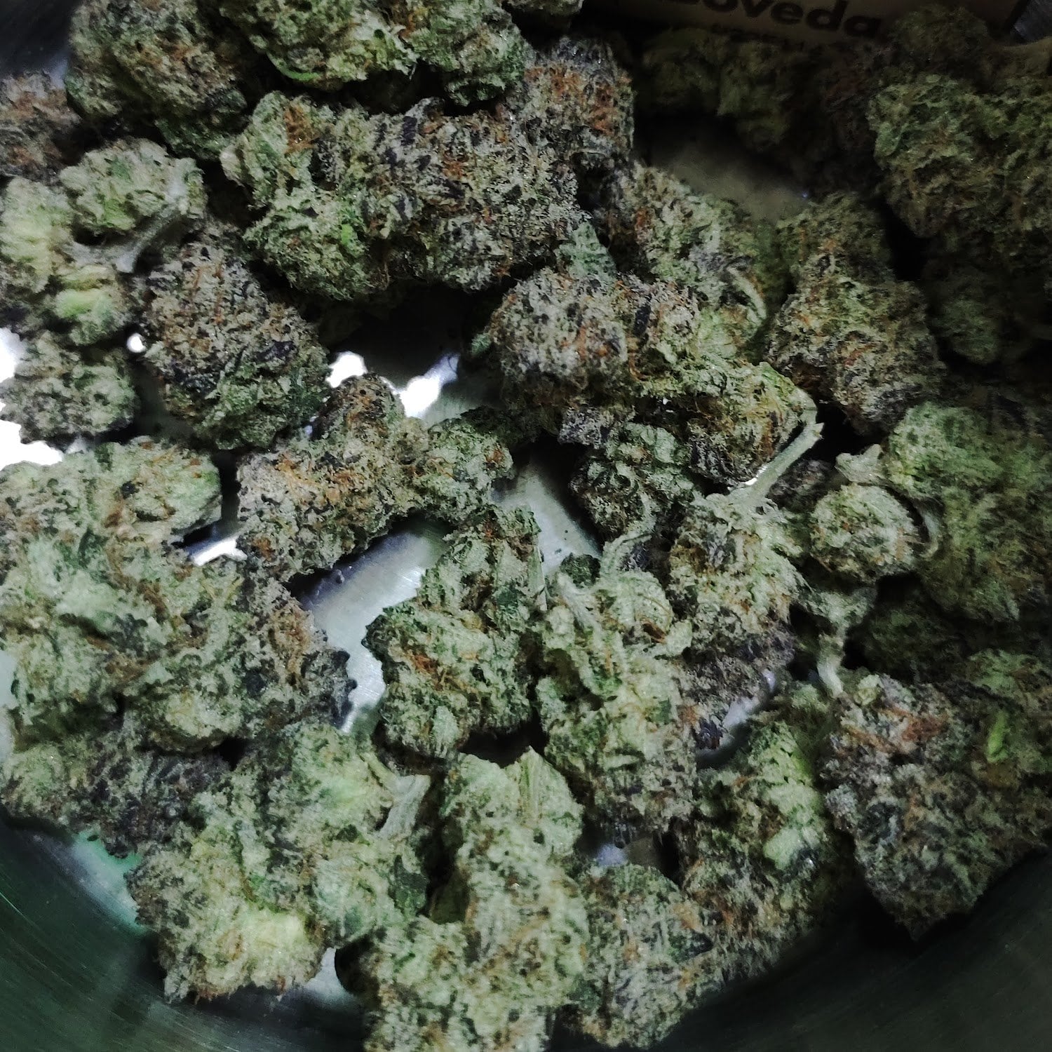 Kingdom Cannabis