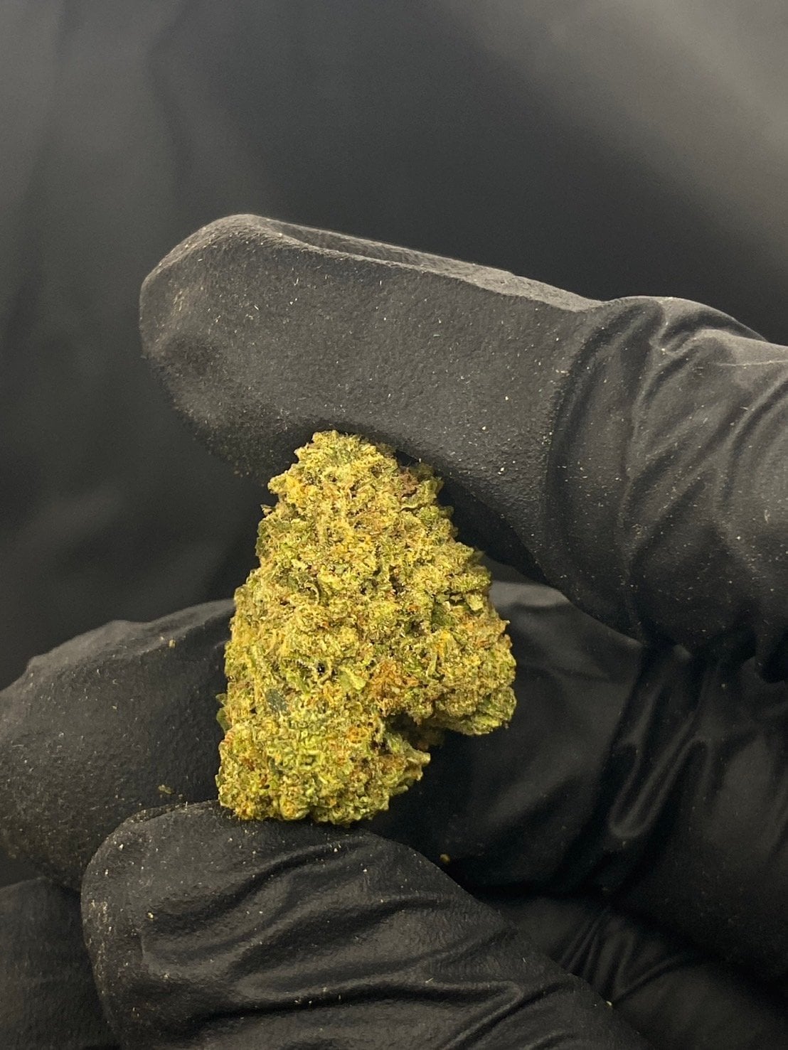 GZOstoner