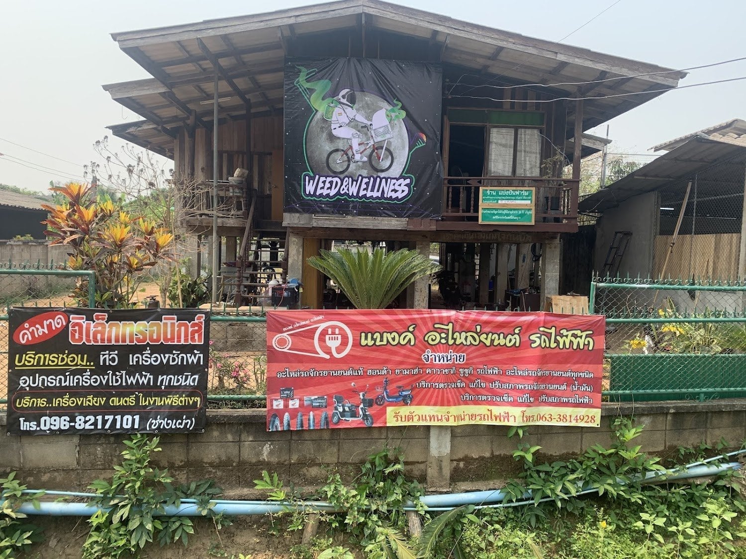Dispensary1 Weed & Wellness