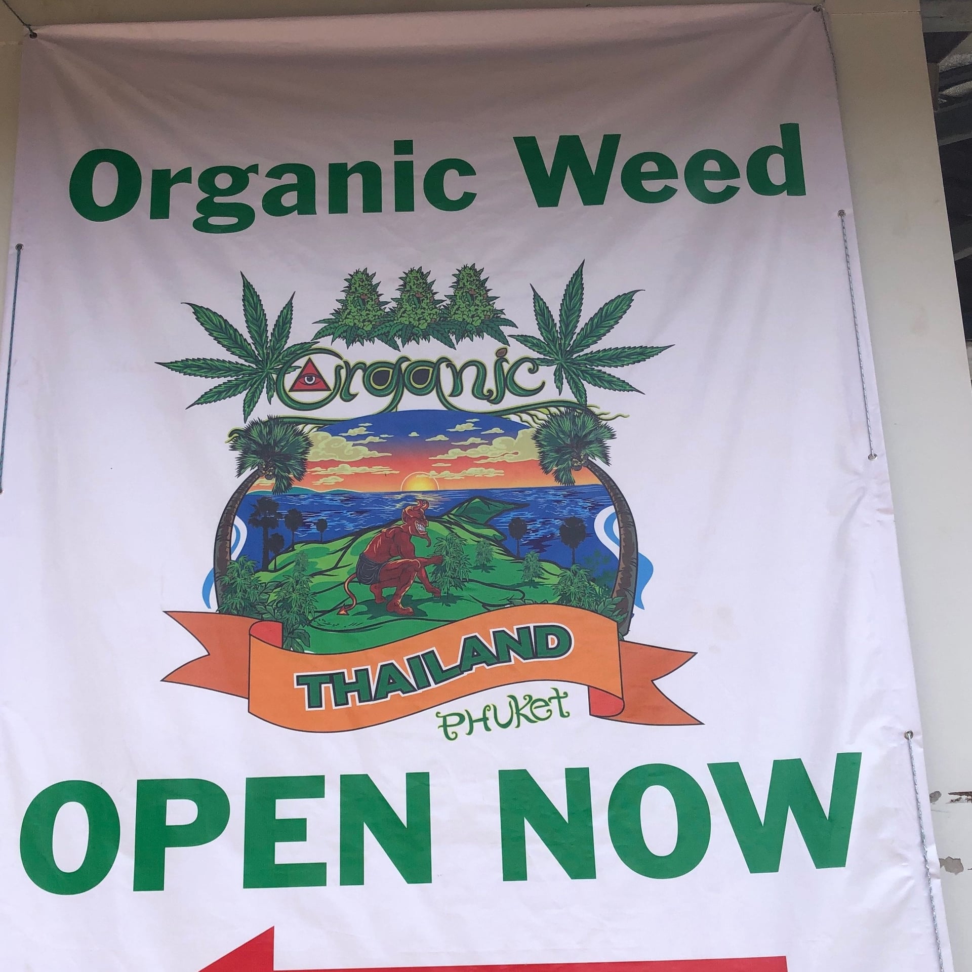 Phuket Cannabis Farm
