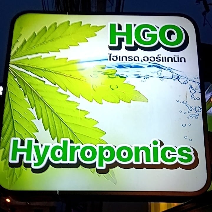 HGO Hydroponics