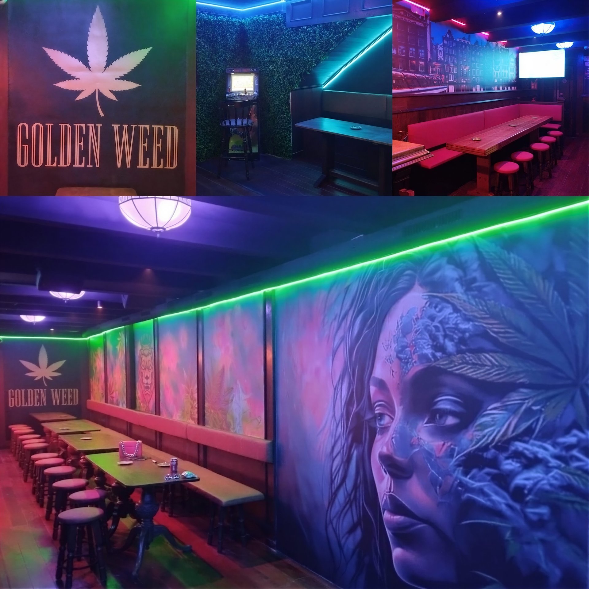 Golden Weed