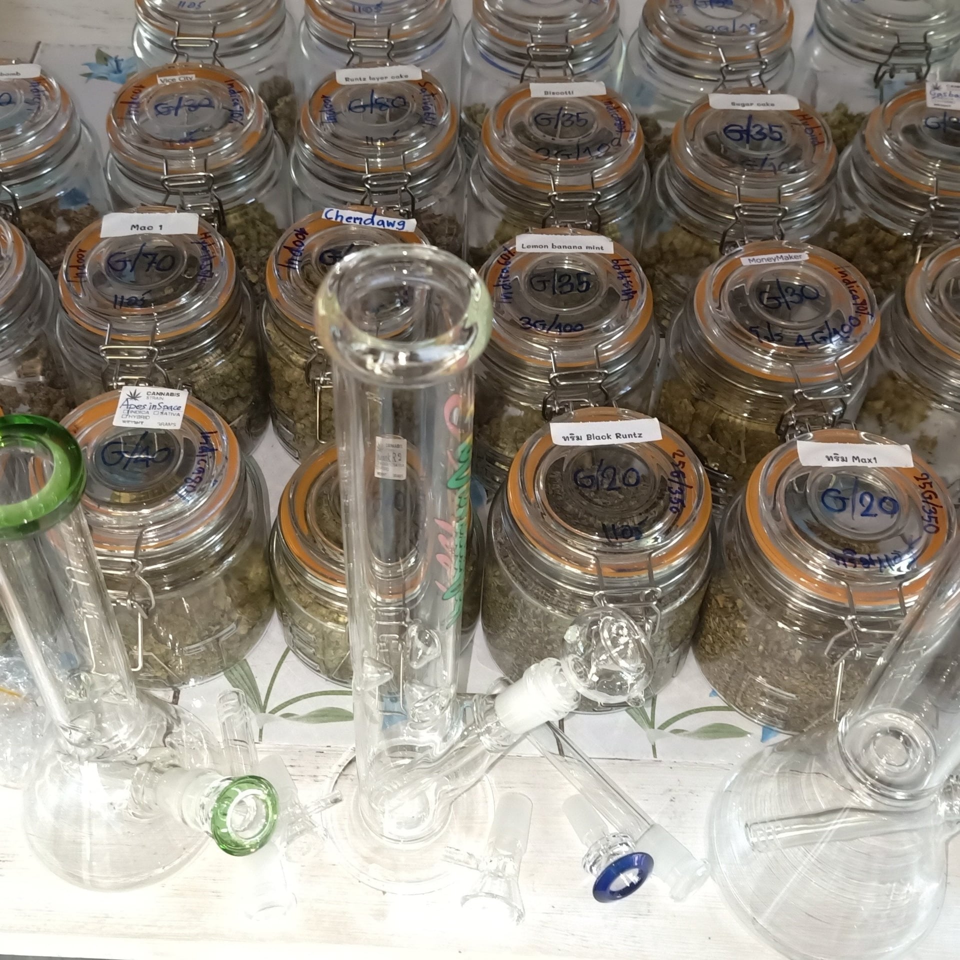 GrowerNan Cannabis X Seed