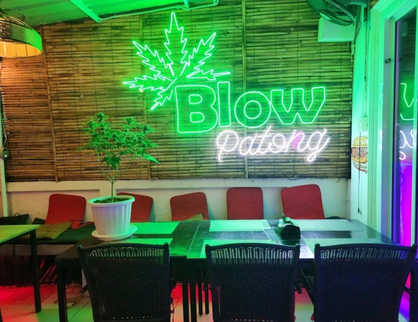 Blow Green Leaf: Premium Cannabis Coffeeshop Patong Phuket THAILANDE
