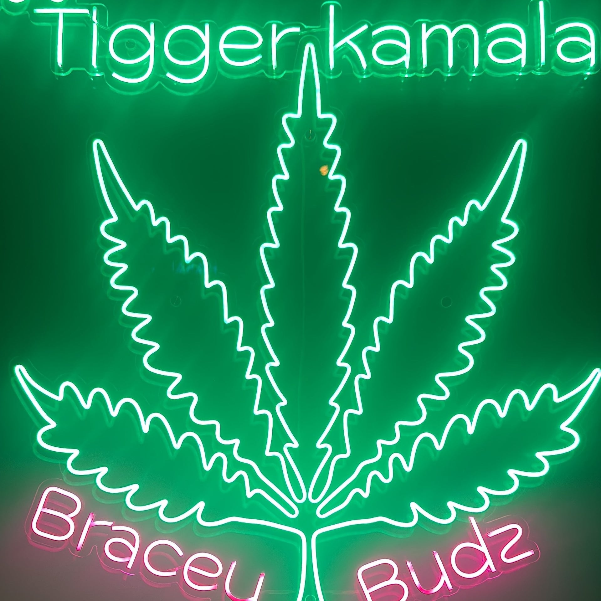 Bracey Budz Cannabis Dispensary Cannabis Store Weed Shop Ganja
